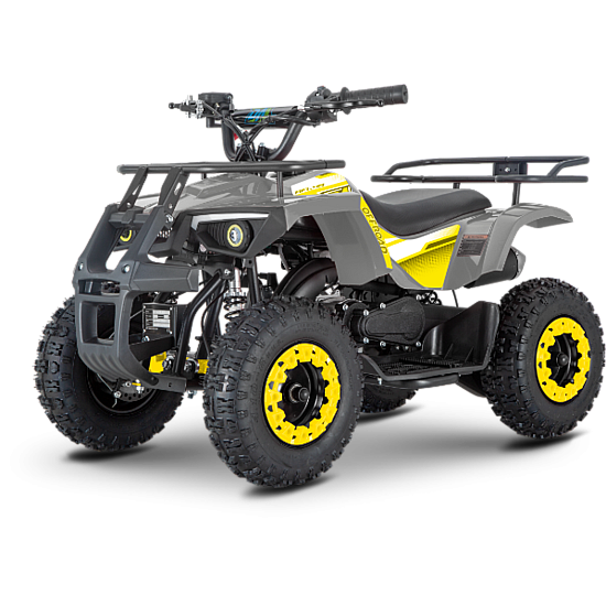 ATV de copii RDB-AFL49, 49cc, 2 Timpi ATV de copii RDB-AFL49, 49cc, 2 Timpi