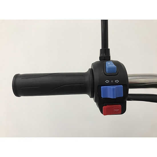 Triciclu electric RDB L-Klass4 fara permis, 1350W, 25 km/h Triciclu electric RDB L-Klass4 fara permis, 1350W, 25 km/h