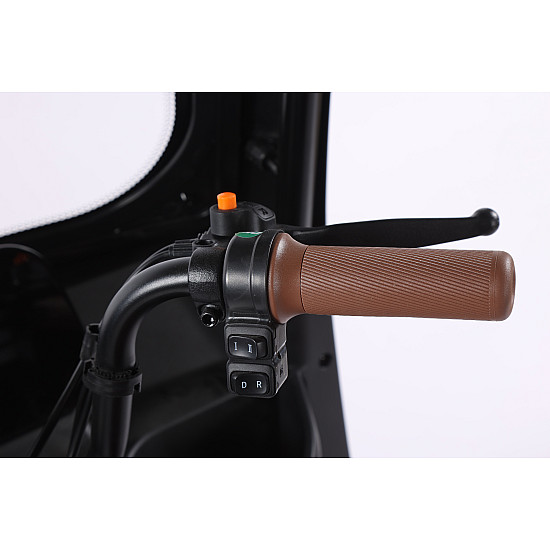 Triciclu Electric RDB Panda 5, 650W, 60V20Ah, Fără permis