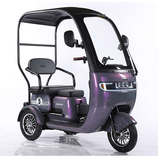 Triciclu Electric RDB Panda 5, 650W, 60V20Ah, Fără permis