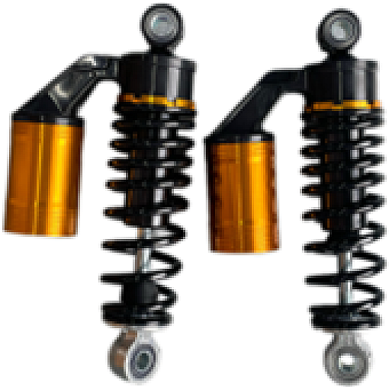 Set amortizoare spate RDB CC10