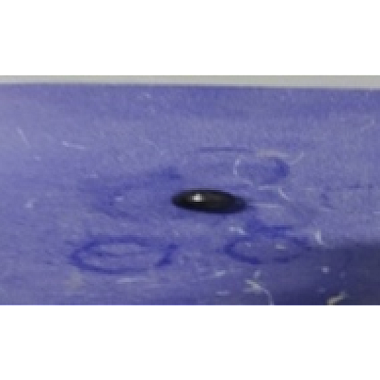 Ornament plastic RDB Mini