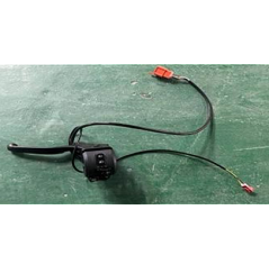 Comutator stanga RDB Roma