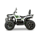 ATV RDB AFB200, 180cc, 4 Timpi