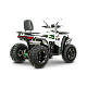 ATV RDB AFB200, 180cc, 4 Timpi
