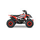 ATV RDB AV49, 49cc, Racire pe aer, 2 Timpi ATV RDB AV49, 49cc, Racire pe aer, 2 Timpi