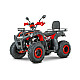 ATV RDB AW200, 180cc, 4 Timpi ATV RDB AW200, 180cc, 4 Timpi