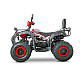 ATV RDB AW200, 180cc, 4 Timpi ATV RDB AW200, 180cc, 4 Timpi