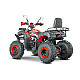 ATV RDB AW200, 180cc, 4 Timpi ATV RDB AW200, 180cc, 4 Timpi
