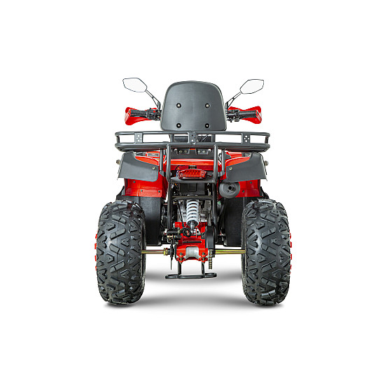 ATV RDB AW200, 180cc, 4 Timpi ATV RDB AW200, 180cc, 4 Timpi
