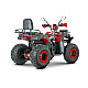 ATV RDB AW200, 180cc, 4 Timpi ATV RDB AW200, 180cc, 4 Timpi