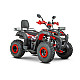 ATV RDB AW200, 180cc, 4 Timpi ATV RDB AW200, 180cc, 4 Timpi
