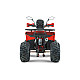 ATV RDB AY125, 125cc, 4 Timpi ATV RDB AY125, 125cc, 4 Timpi