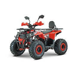 ATV RDB AY125, 125cc, 4 Timpi