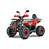 ATV RDB AY125, 125cc, 4 Timpi
