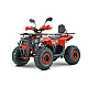 ATV RDB AY125, 125cc, 4 Timpi ATV RDB AY125, 125cc, 4 Timpi