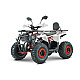 ATV RDB AY125, 125cc, 4 Timpi ATV RDB AY125, 125cc, 4 Timpi