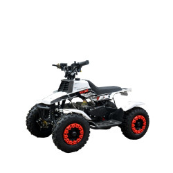 ATV Copii RDB FXATV-ESZ, Electric, Kids zone, 2022 ATV Copii RDB FXATV-ESZ, Electric, Kids zone, 2022