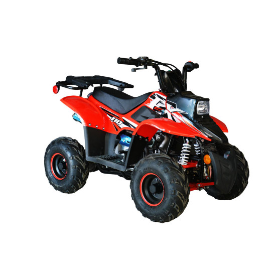 ATV copii RDB FXATV-SA benzină ATV copii RDB FXATV-SA benzină