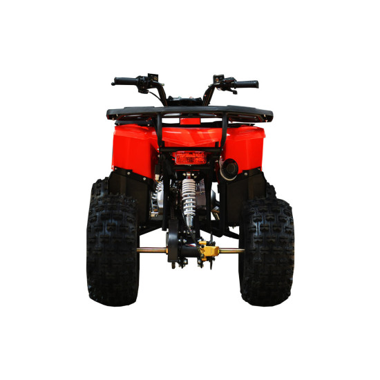 ATV adulți benzină RDB FXATV-SV 2023 ATV adulți benzină RDB FXATV-SV 2023
