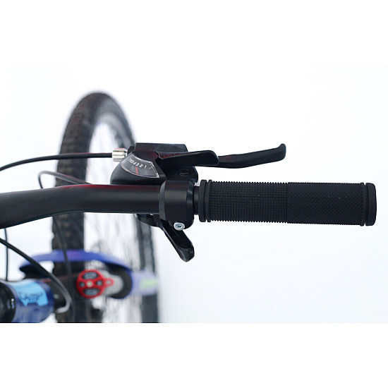 Bicicleta RDB Camp XC 4.1, roata 29 inch, 2022