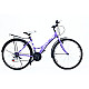 Bicicleta RDB City Matita V-Brake 24 inch, 2022 Bicicleta RDB City Matita V-Brake 24 inch, 2022