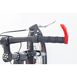 Bicicleta copii RDB Albatros 20", Frane disc, 2022 Bicicleta copii RDB Albatros 20", Frane disc, 2022