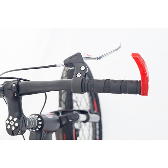 Bicicleta copii RDB Albatros 20", Frane disc, 2022 Bicicleta copii RDB Albatros 20", Frane disc, 2022