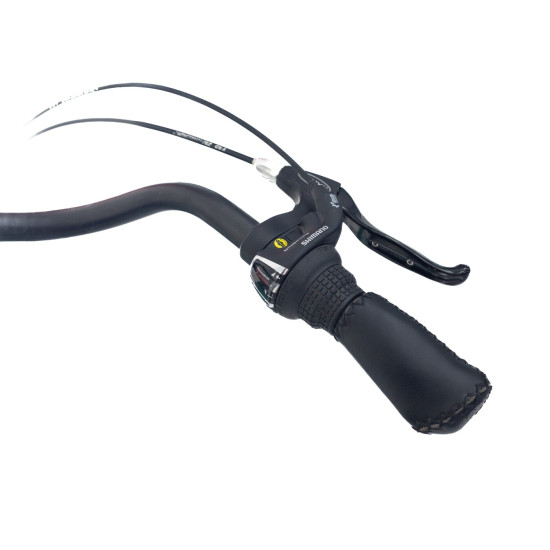 Bicicletă Electrică RDB Devron City Albastru Deschis 26 Inch Bicicletă Electrică RDB Devron City Albastru Deschis 26 Inch