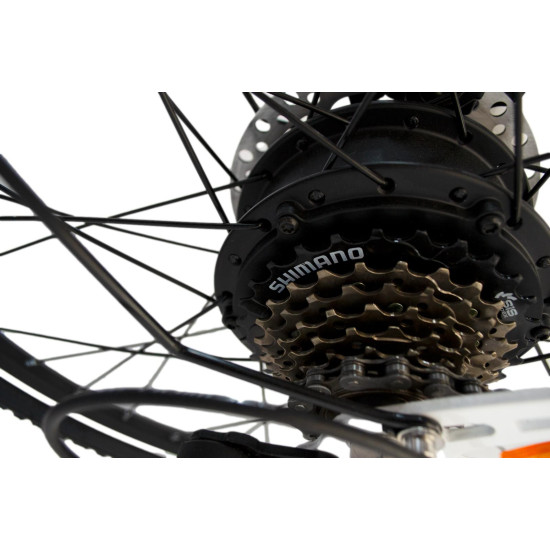 Bicicleta electrica RDB NE10, 250W, 25 km/h, autonomie 45-60 km, Alb Bicicleta electrica RDB NE10, 250W, 25 km/h, autonomie 45-60 km, Alb