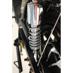 Suspensie completă spate RDB Dunărea