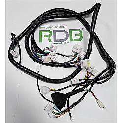 Cablu electric pricipal F35