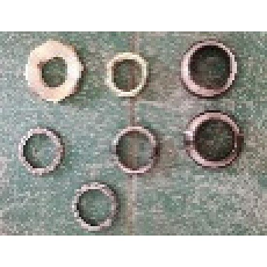 Contrapiulita furca Sulina