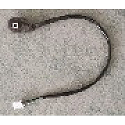 Senzor cric parcare laterala Sulina