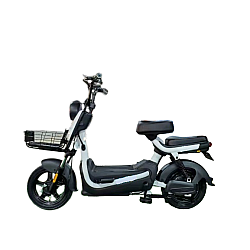 Scuter Electric RDB G60, 500W, fara permis, 25km/h