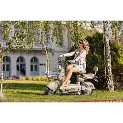 Scuter Electric RDB PARIS, 600W, fara permis, 48V 20Ah, 25km/h