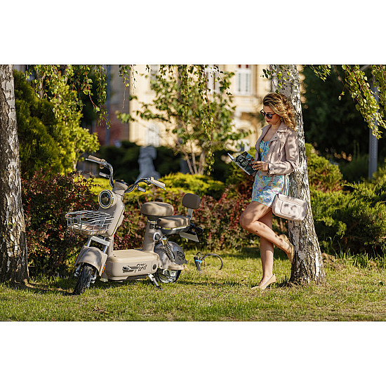 Scuter Electric RDB PARIS, 600W, fara permis, 48V 20Ah, 25km/h Scuter Electric RDB PARIS, 600W, fara permis, 48V 20Ah, 25km/h