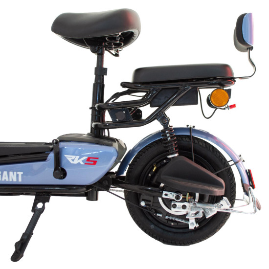 Scuter electric Tip E-Bike RDB ELEGANT, 250W, fără permis, 25km/h