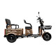 Triciclu Electric RDB CARGO, fara permis, 2000W, 25km/h Triciclu Electric RDB CARGO, fara permis, 2000W, 25km/h