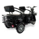 Triciclu electric RDB G-Klass fara permis, 1500W, 25 km/h