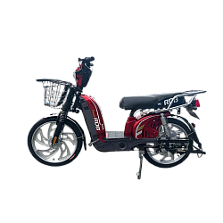 Scuter electric RDB Dunărea 450W