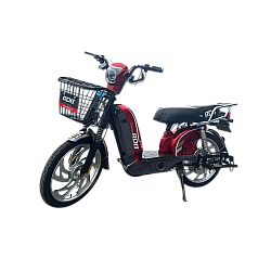 Scuter electric RDB Dunărea 450W