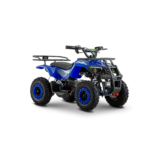 ATV de adulti RDB-FFL800, 800W, 36V12Ah ATV de adulti RDB-FFL800, 800W, 36V12Ah