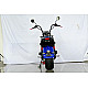 Scuter electric CityCoco Harley RDB CP-6 Scuter electric CityCoco Harley RDB CP-6