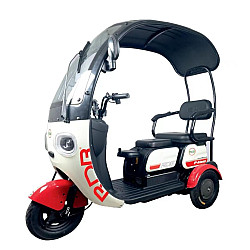Triciclu electric RDB Panda-Klass fara permis, 1000W, 25 km/h