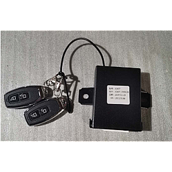 Închidere centralizată