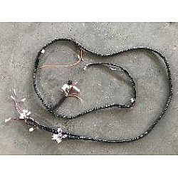 Cicruit electric principal