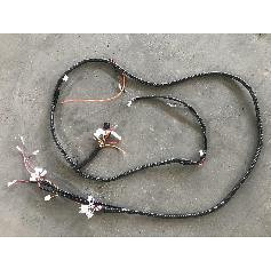 Cicruit electric principal