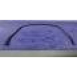 Placuta aripa Placuta aripa