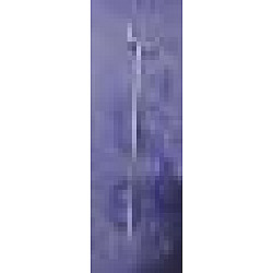 Parghie de blocare Parghie de blocare